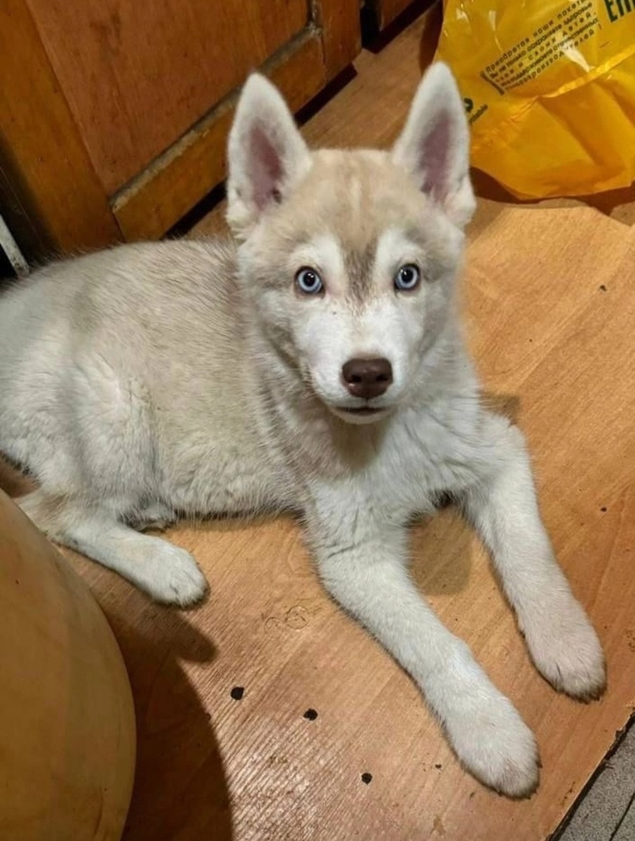 Фото автора