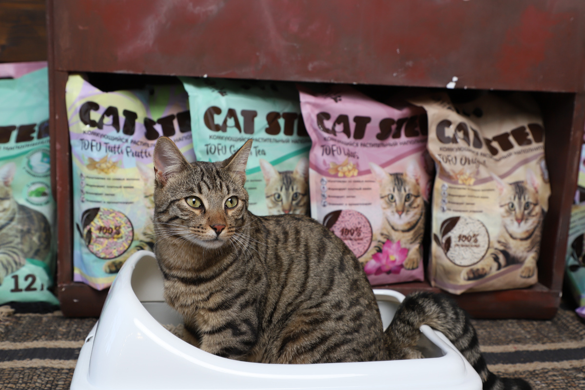 На фото – комкующиеся растительные наполнители CAT STEP Tofu Vanilla, Lotus, Green Tea и др.