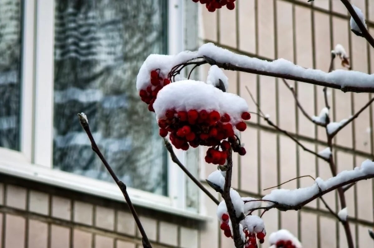    2 октября через область может пройти глубокий штормовой циклон
