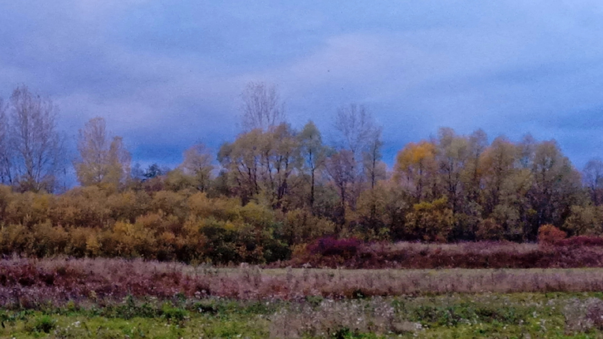 Осенняя красота завораживает.