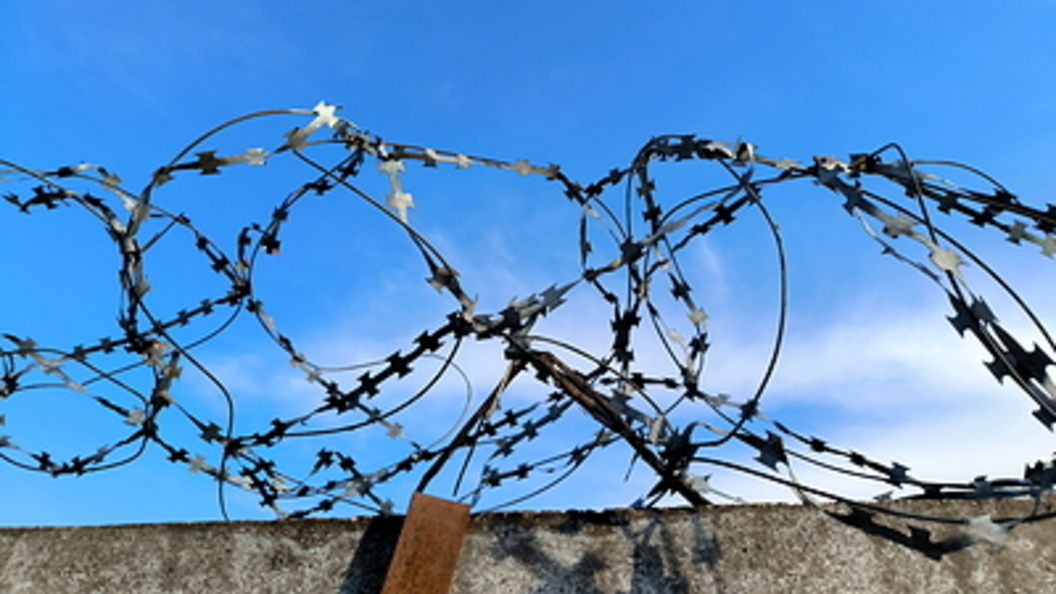    Фото: Maksim Konstantinov/Global Look Press/Globallookpress