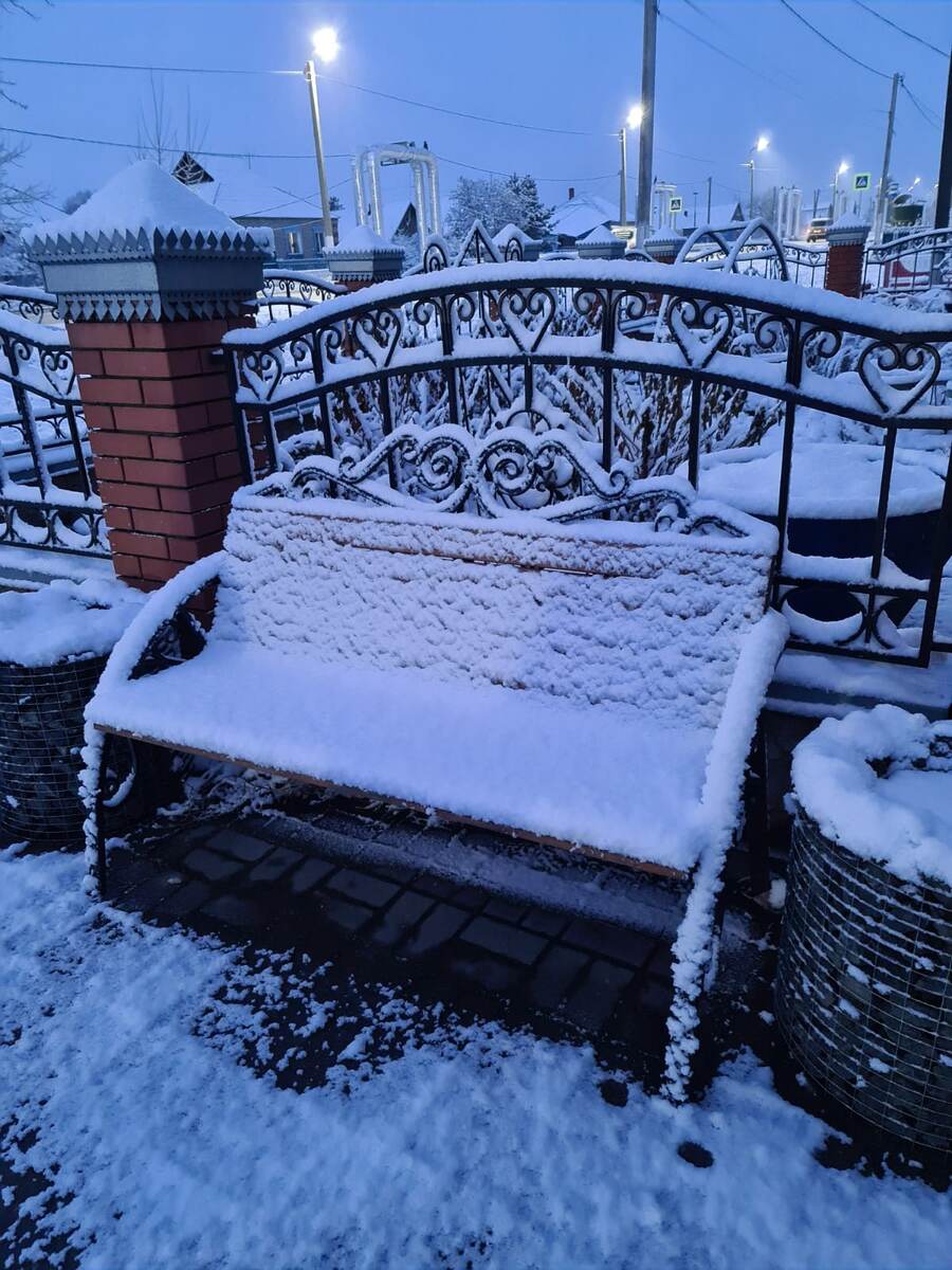 У моего дома