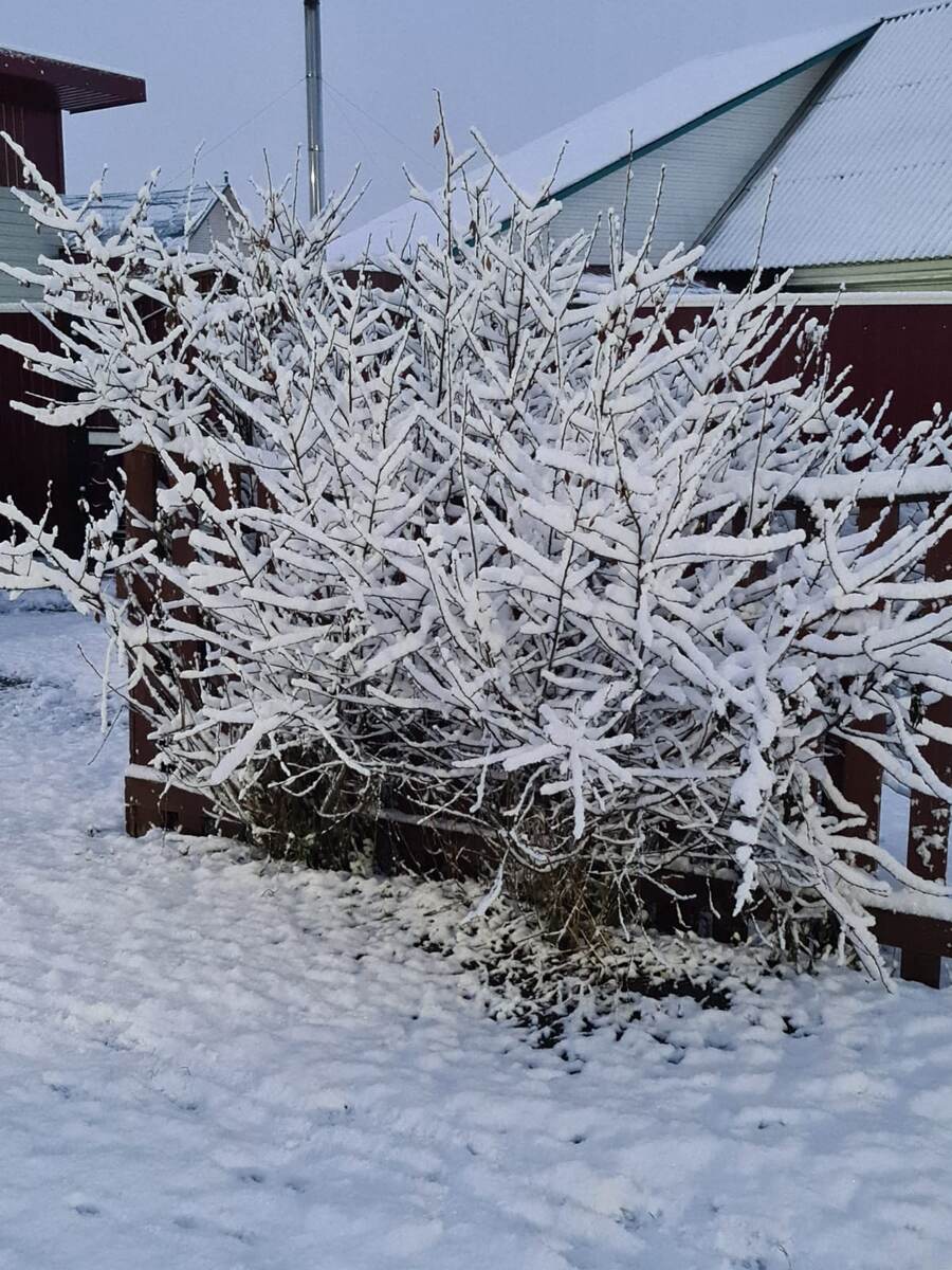 По дороге на работу