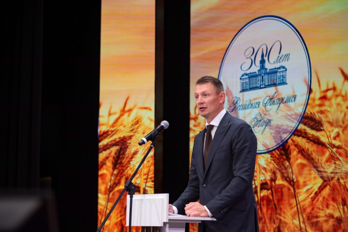 Александр Владимирович Двойных, Совет Федерации