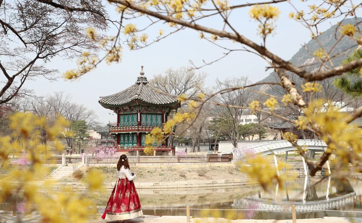    Российский турпоток в Южную Корею вырос на 22,8%