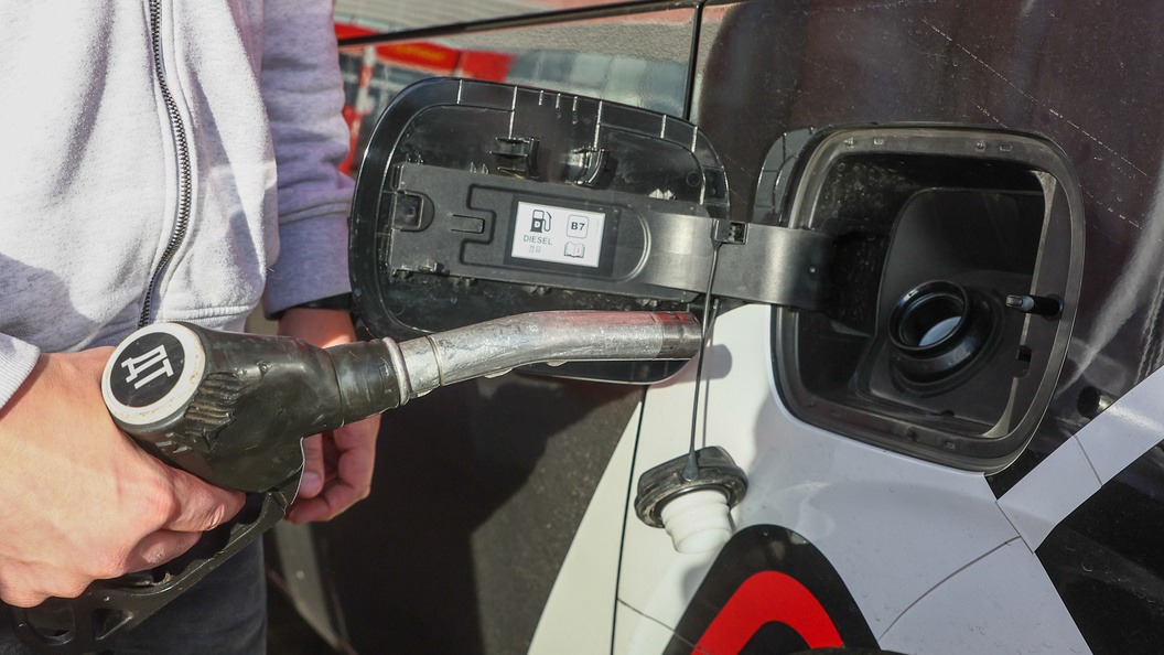    Фото: Shatokhina Natalia/news.ru