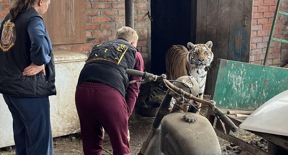    Прокуратура Краснодарского края