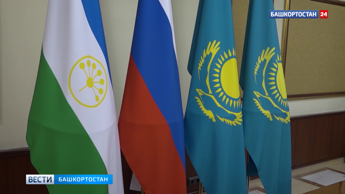    Башкирия экспортировала в Казахстан 288 тонн «китайского гороха»