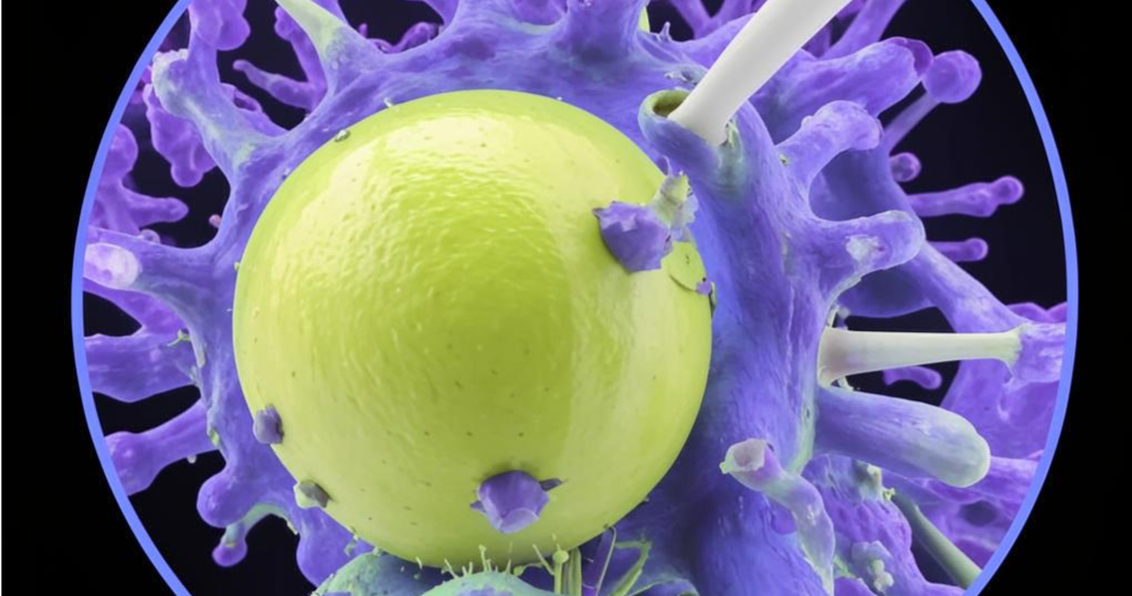 Укрепление имунной системы в сезон простуд.