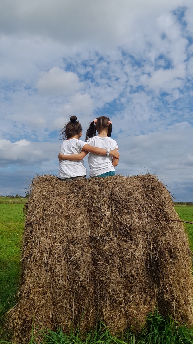 Мои сокровища