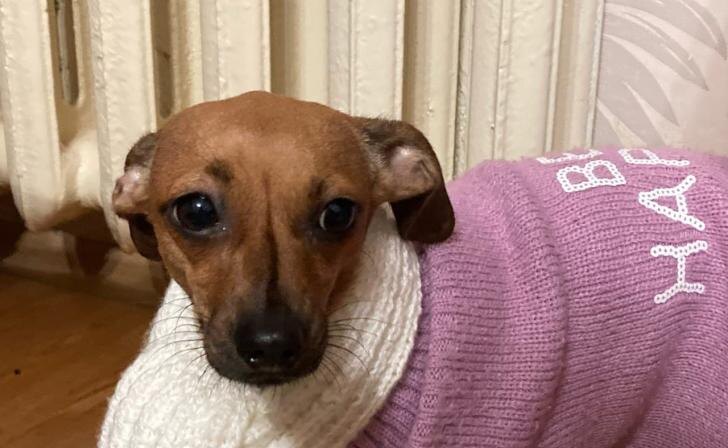    фото Курские известия