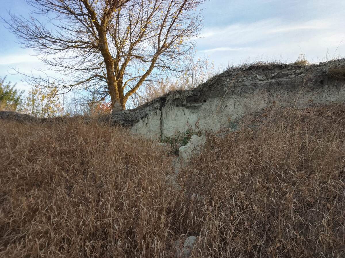 Залежи глинистых пород