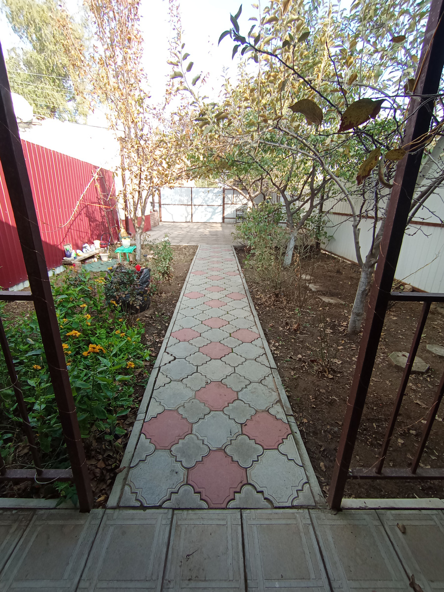 Двор после уборки листьев. 