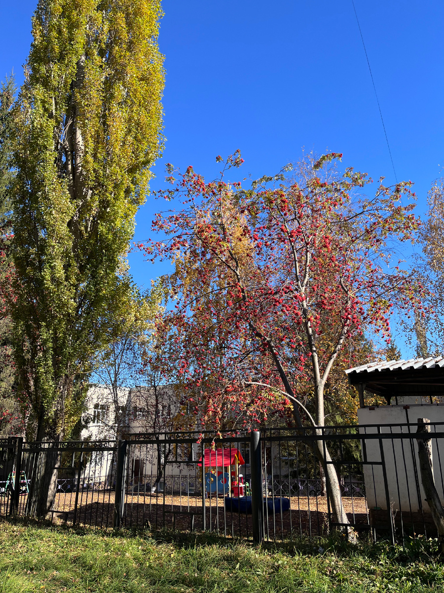 Это еще когда было солнечно!