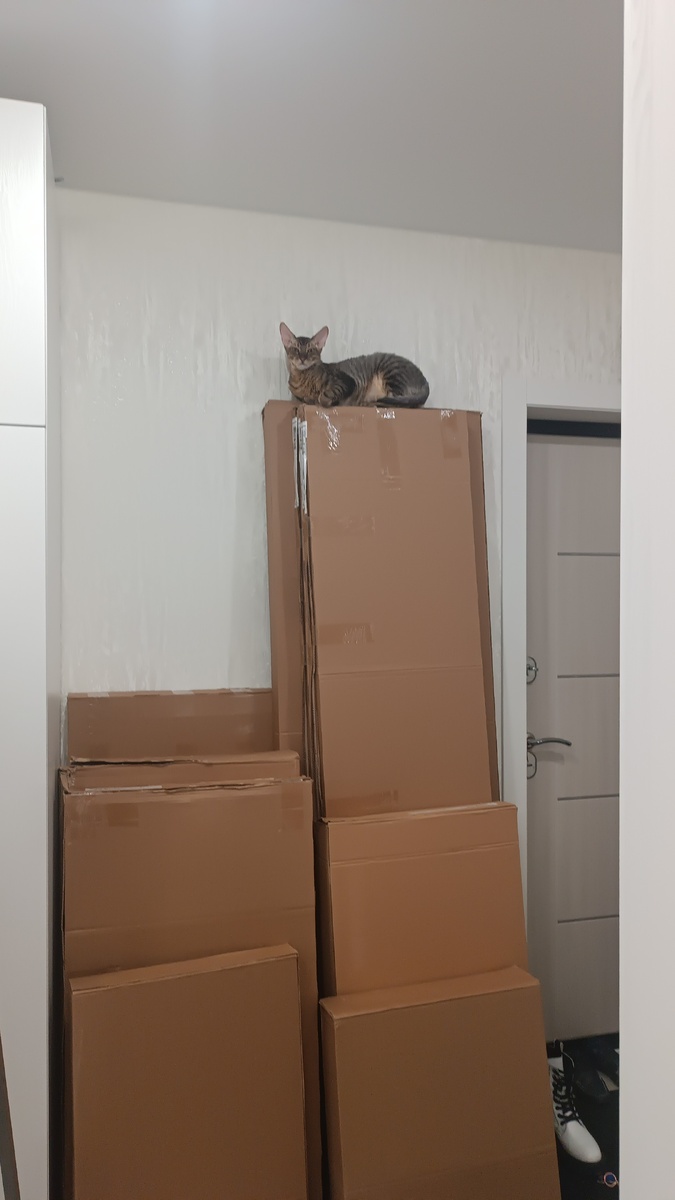 Новое удобное место. 