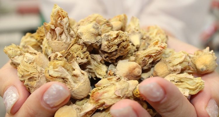    Один из самых необычных видов агроэкспорта пришел в Россию из Туниса