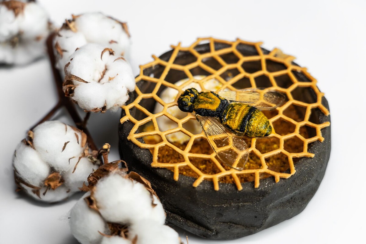 © event.touchgroup.ru