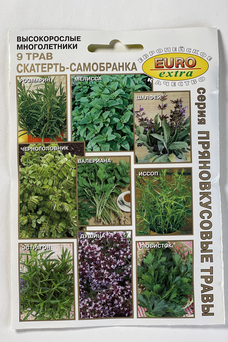 Прямо мне такие вот высокие и нужно в нашем саду заиметь. Мне кажется, что иссоп и эстрагон можно и в горшках вырастить на окне на даче. Там, правда бывает и прохладно в доме (+10-11), но это же многолетники, так что попытаться можно. 