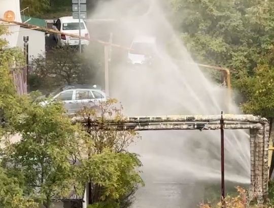    Фото t.me/nvrsk_new