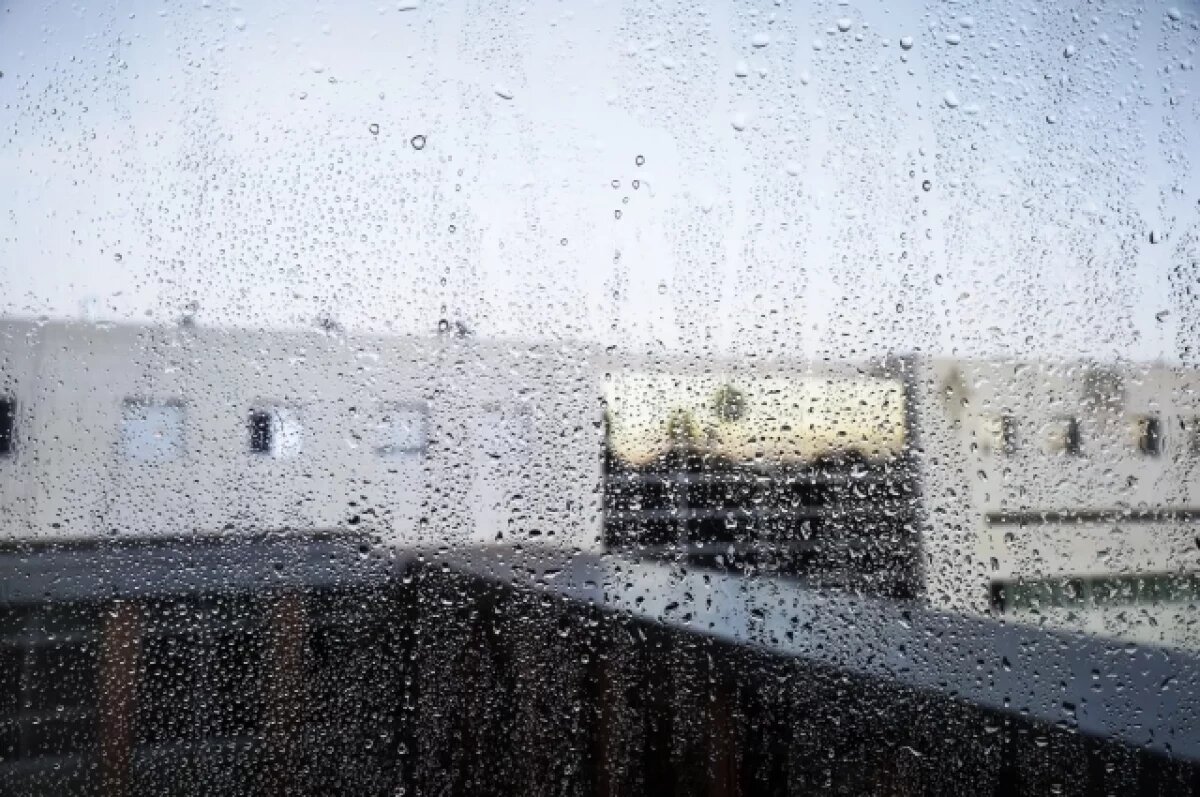    На Воронежскую область обрушится циклон «Мартина»