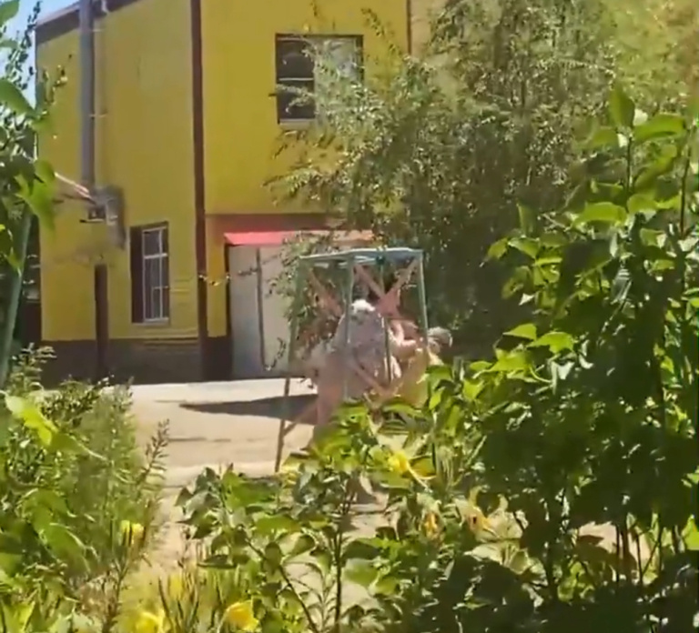 Скрин видео