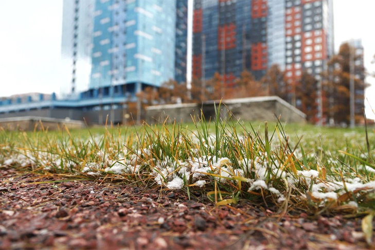    Фото Андрея Заржецкого