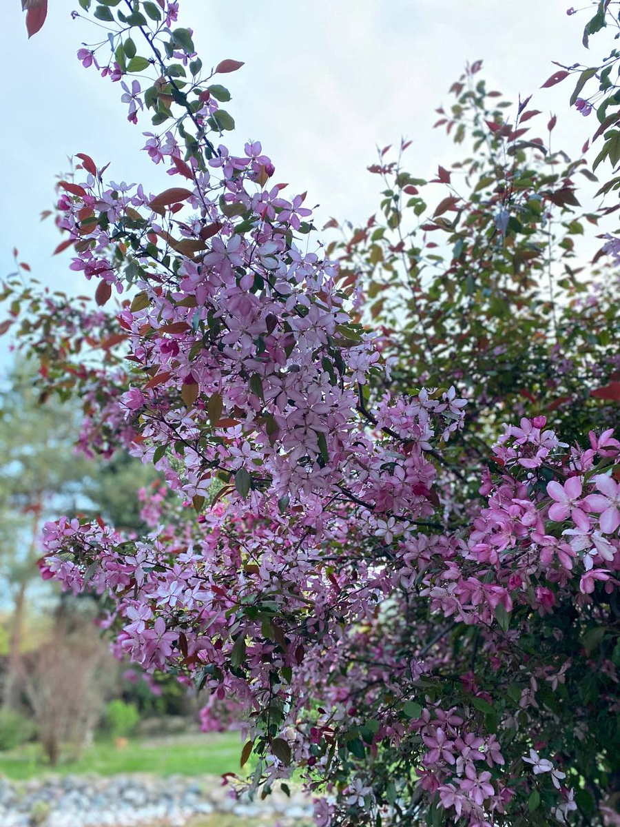 Таков наш мир, который мы создали, такова экология, таковы наши мысли в голове.