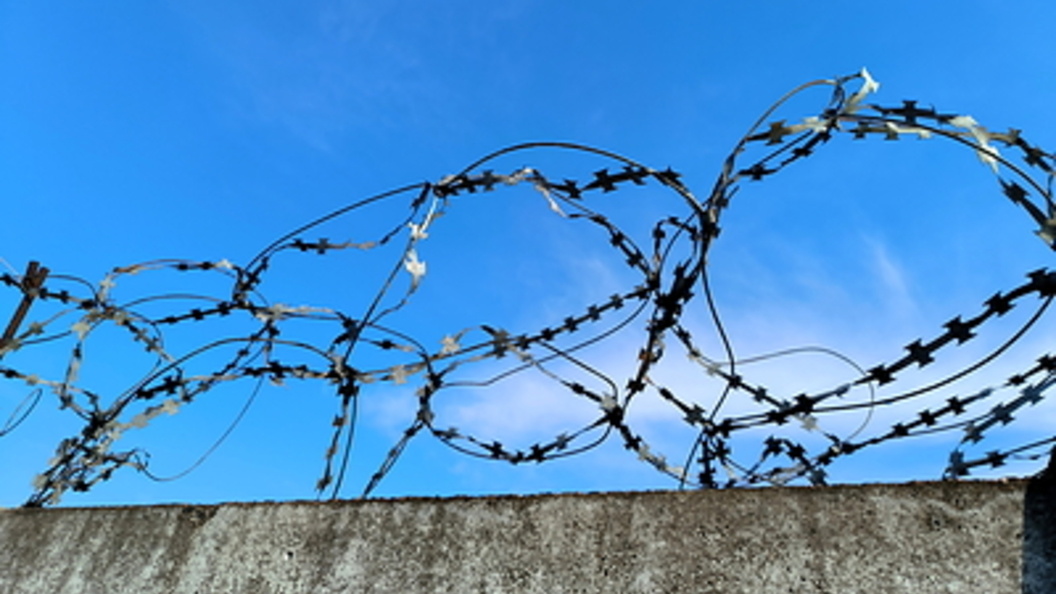    Фото: Maksim Konstantinov/Globallookpress