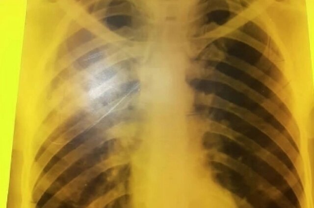    Фото: Личный архив/ Марии Нижегородовой