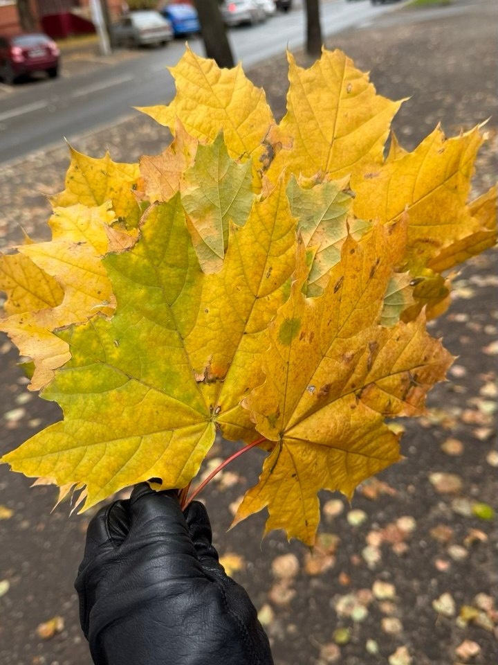 Фото Ирины Смирновой, «РТ»