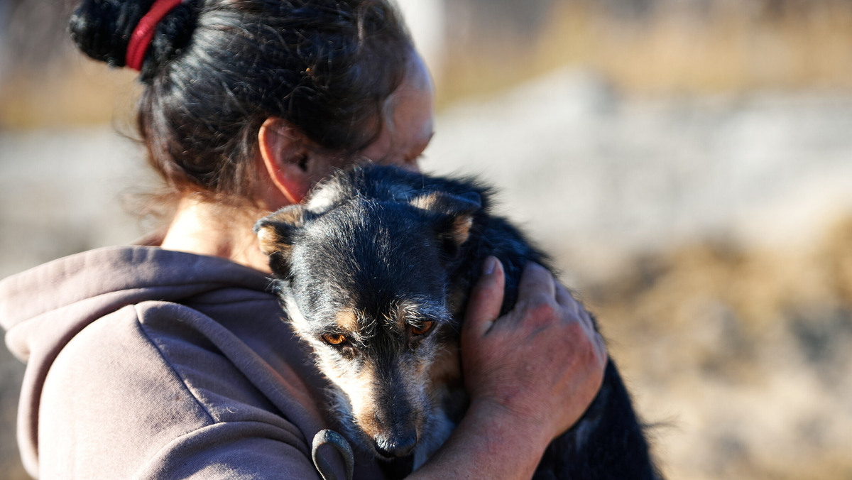    Фото: Максим Ким для приюта «Балто»