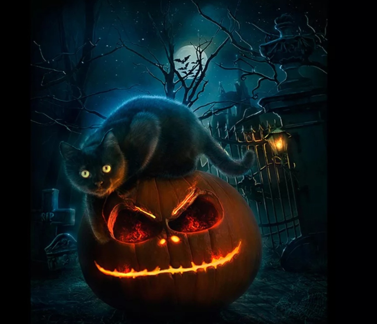 Фото из интернета