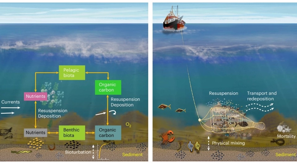   Wenyan Zhang et al. / Nature Geoscience, 2024