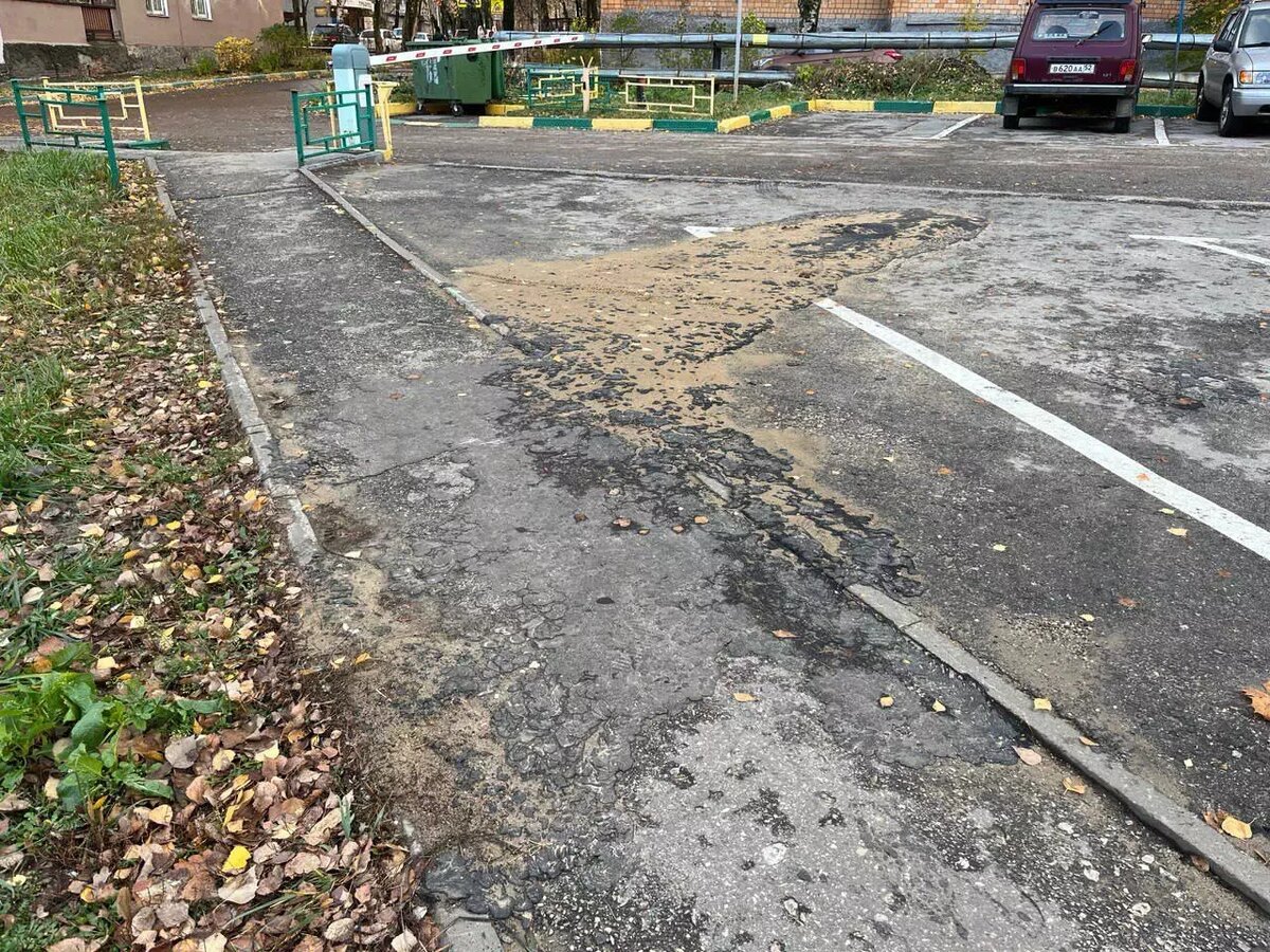     Источник: Татьяна Долгова