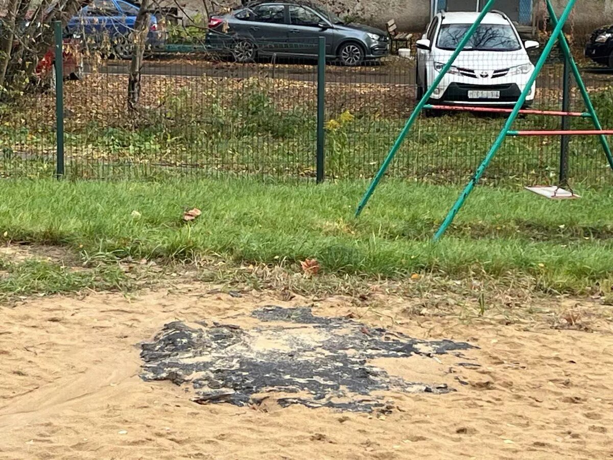     Источник: Татьяна Долгова