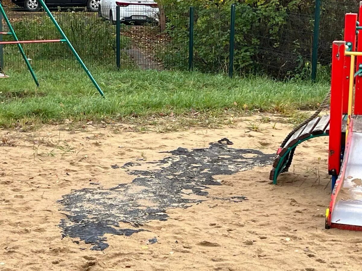     Источник: Татьяна Долгова