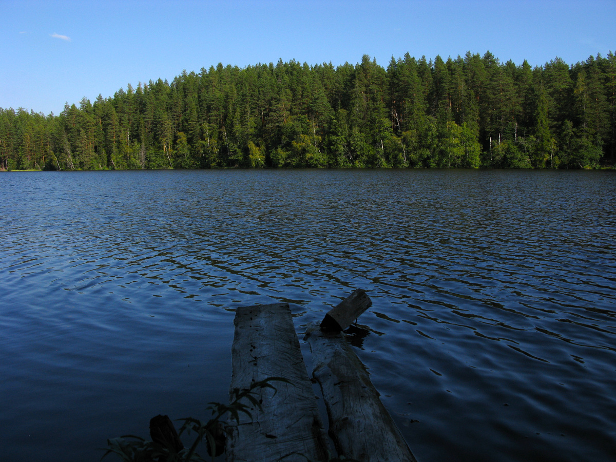 Большое Луговое озеро.