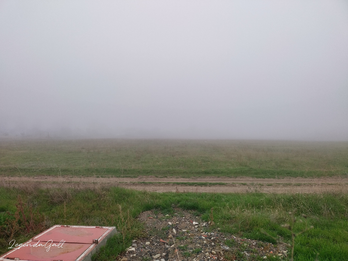 Там, за туманом, есть дома....