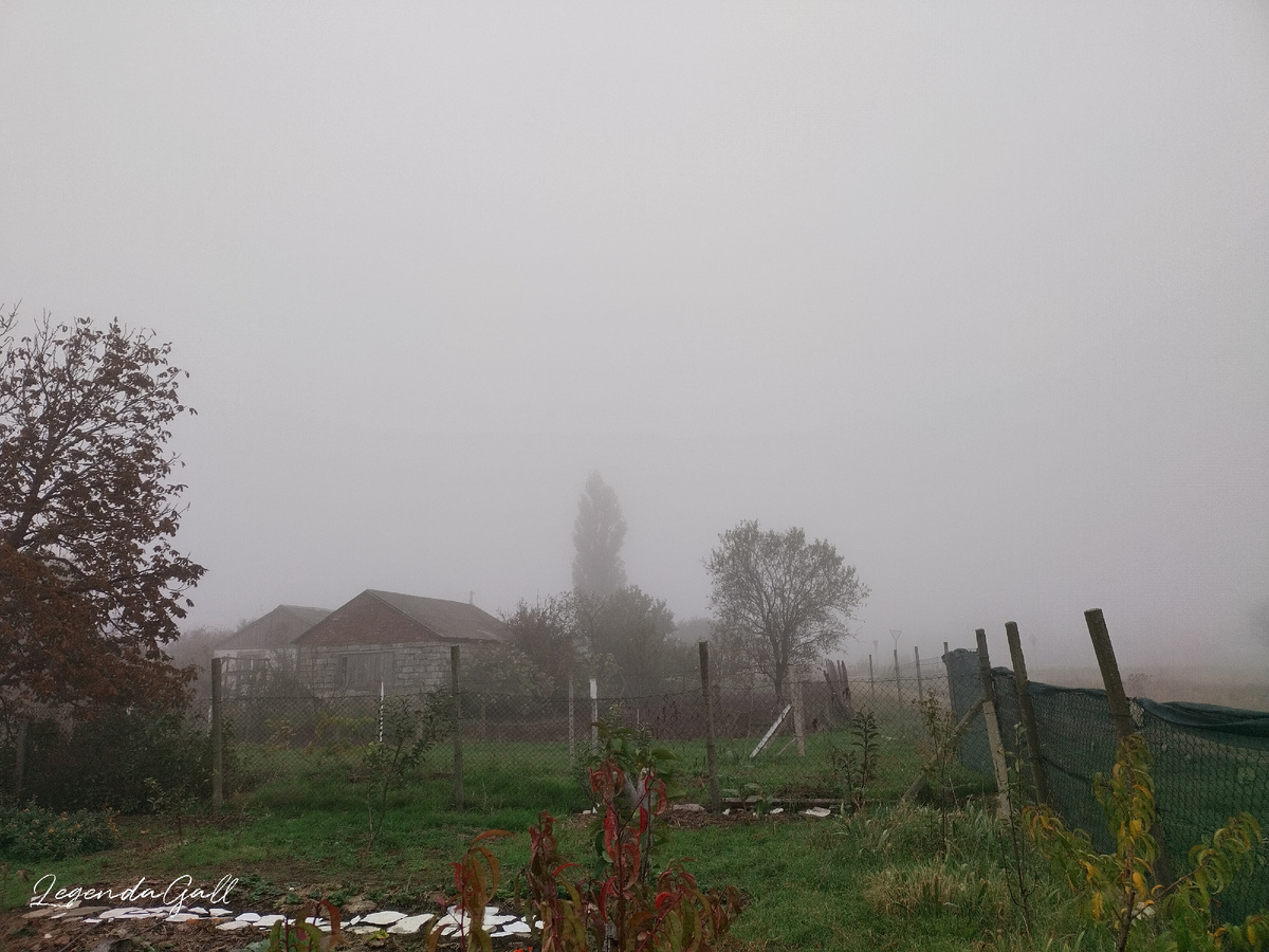 Это соседский домик