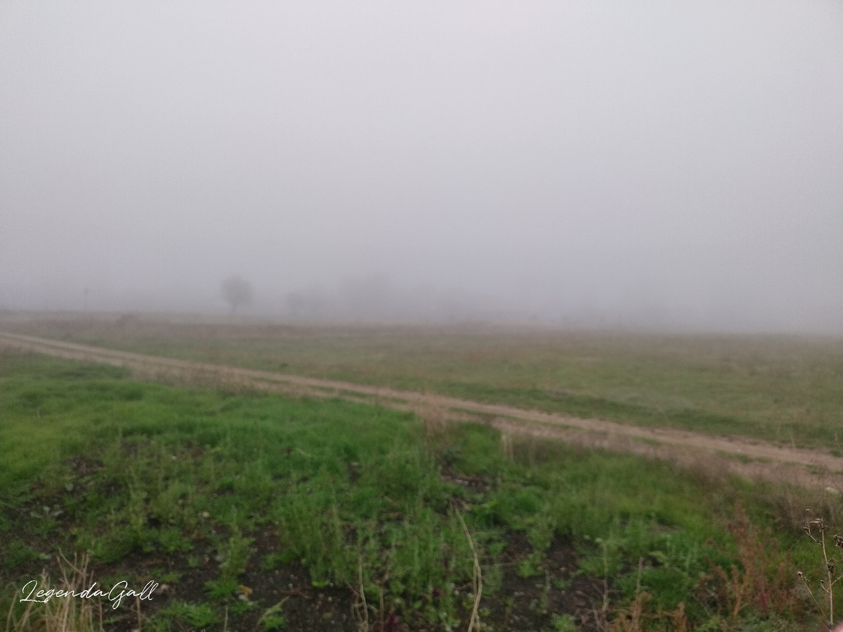 Там тоже улица села