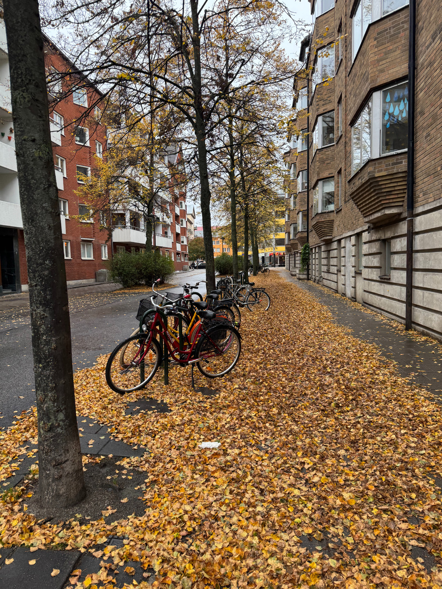 Улочки Мальмо