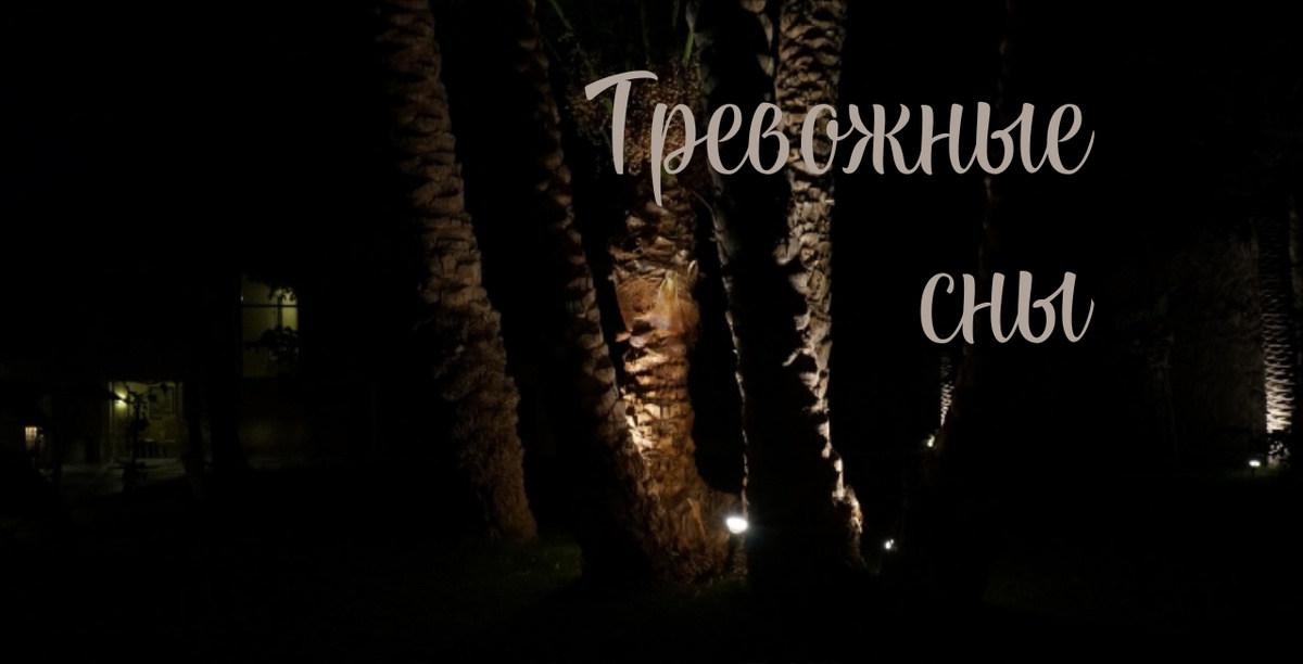 Фото и коллаж автора.