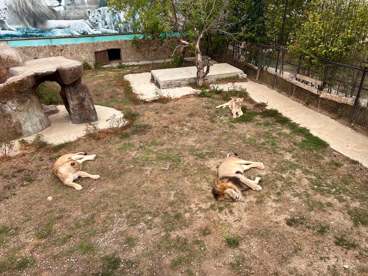 фото автора канала