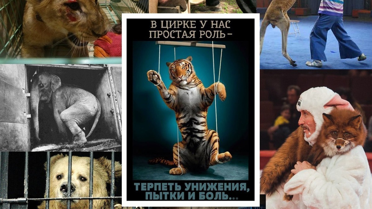 Из открытого источника