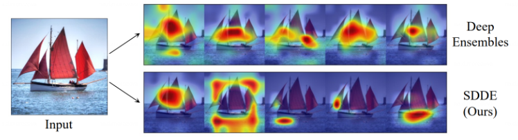Глубокие ансамбли используют одинаковые модели для распознавания изображений. В подходе SDDE каждая модель фокусируется на разных аспектах данных, что видно на выделенных зонах — картах внимания. В SDDE карты сильнее различаются, например захватывается фон изображения
