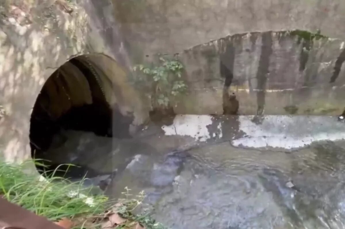    Появились кадры с места, где обнаружили тело блогера Кристины Рэй