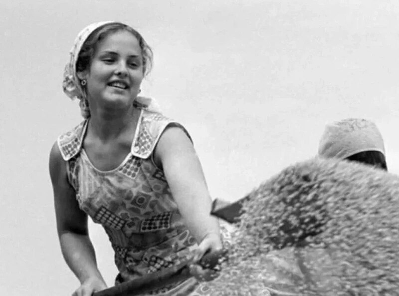 Фото из интернета 