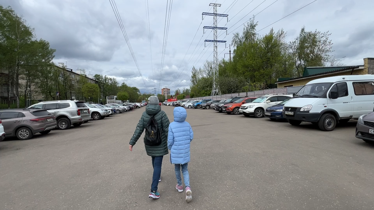 Парковка в Нижегородском зоопарке Лимпопо