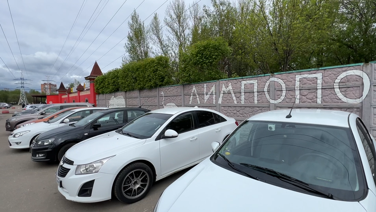 Парковка в Нижегородском зоопарке Лимпопо