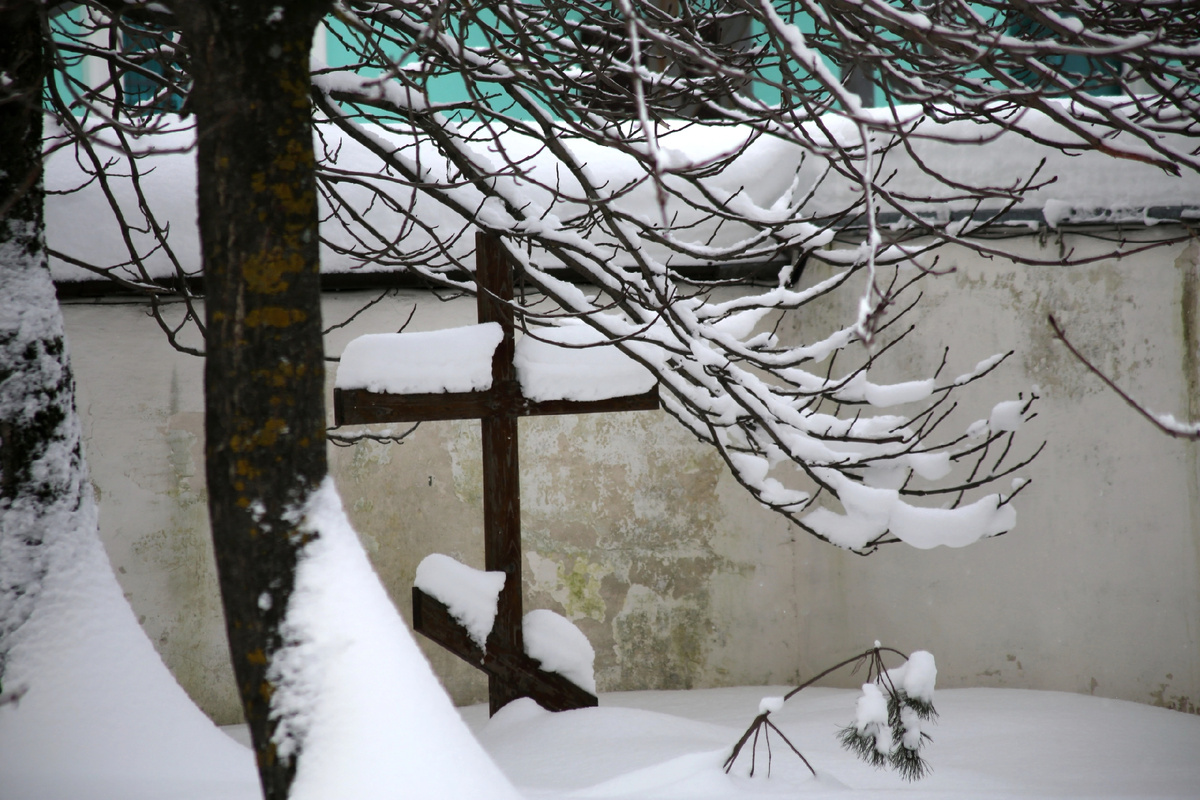 Фото Сергея Михеева 